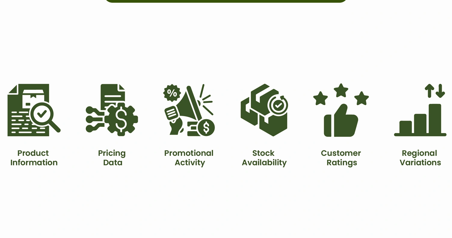 Key-Components-of-the-Dataset