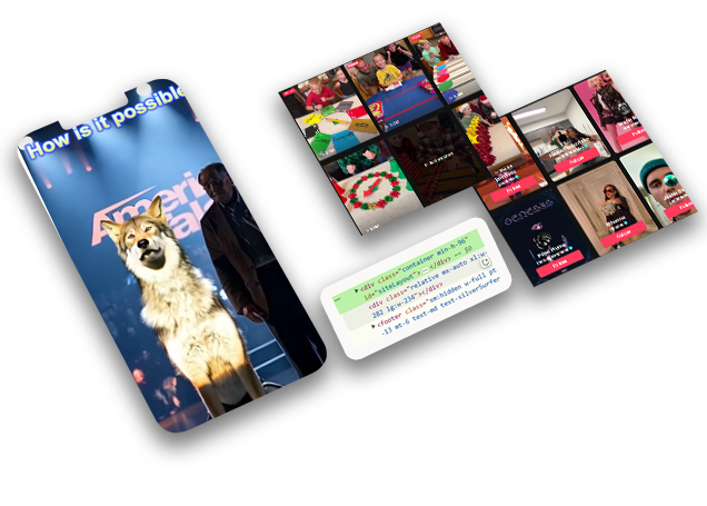 TikTok-App-Data-Scraper